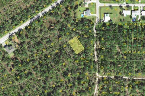 Land in Punta Gorda, Florida № 2162348 - photo 3