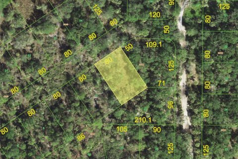 Land in Punta Gorda, Florida № 2162348