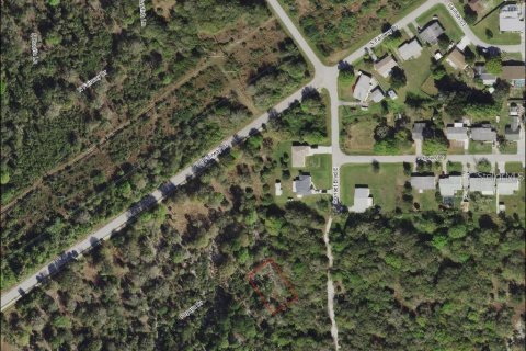 Land in Punta Gorda, Florida № 2162348 - photo 4