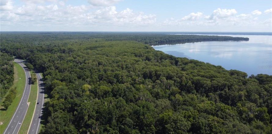 Land in Gainesville, Florida № 1390513
