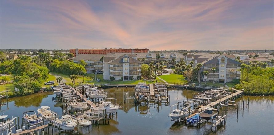 Condo in New Port Richey, Florida, 3 bedrooms  № 2092448