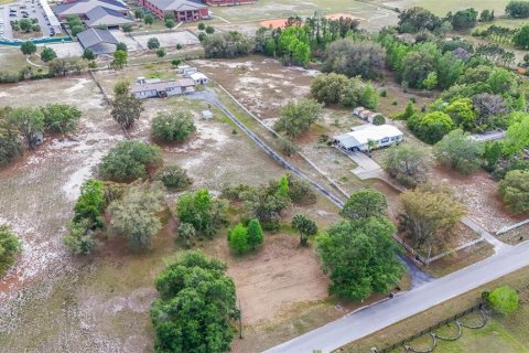 Land in Davenport, Florida № 1618923 - photo 7