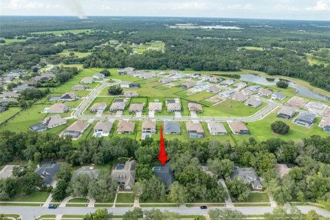 Casa en venta en Fish Hawk, Florida, 4 dormitorios, 311.59 m2 № 1912253 - foto 4