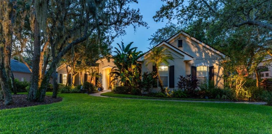 Villa ou maison à Fish Hawk, Floride 4 chambres, 311.59 m2 № 1912253