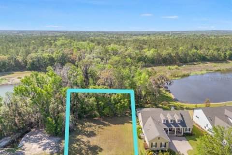 Land in Brooksville, Florida № 1598644 - photo 1