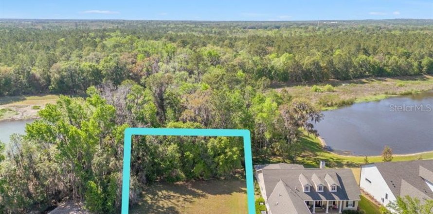Land in Brooksville, Florida № 1598644