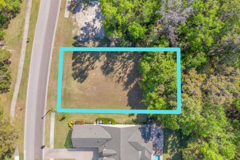 Land in Brooksville, Florida № 1598644 - photo 5