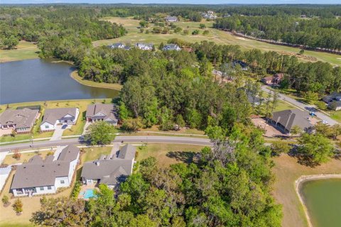 Land in Brooksville, Florida № 1598644 - photo 7