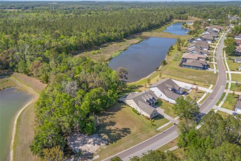 Land in Brooksville, Florida № 1598644 - photo 2