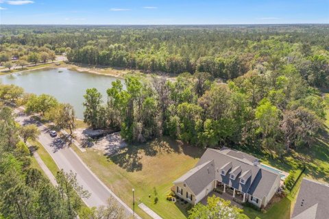 Land in Brooksville, Florida № 1598644 - photo 4