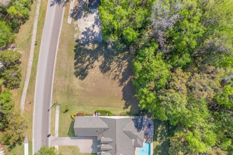 Land in Brooksville, Florida № 1598644 - photo 9