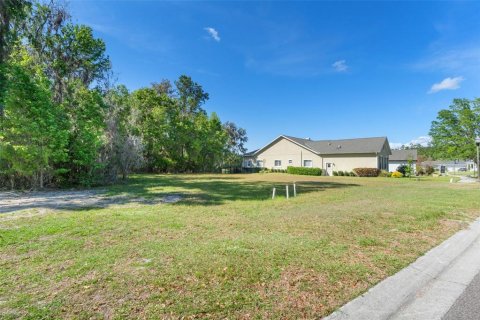 Land in Brooksville, Florida № 1598644 - photo 10