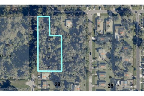 Land in Sanford, Florida № 1847873 - photo 2