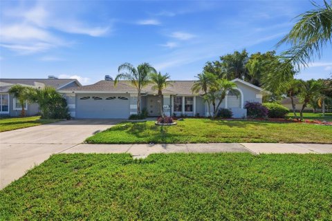 Villa ou maison à Palm Harbor, Floride 3 chambres, 209.49 m2 № 2101275