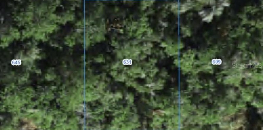 Land in Citrus Springs, Florida № 2388225