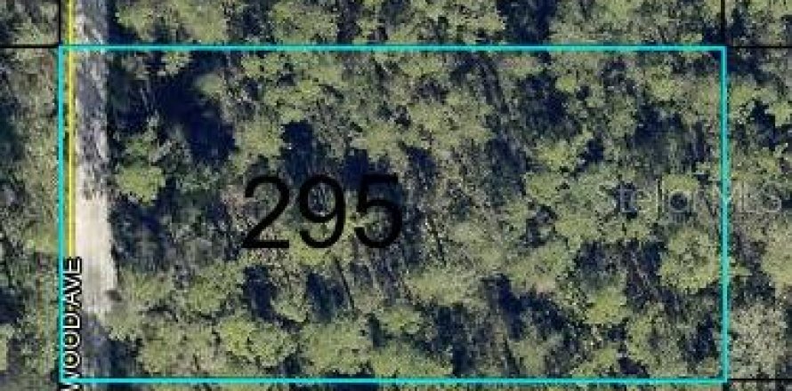 Land in Hastings, Florida № 2266362