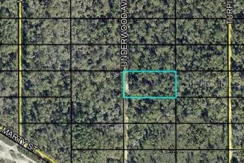 Land in Hastings, Florida № 2266362 - photo 2