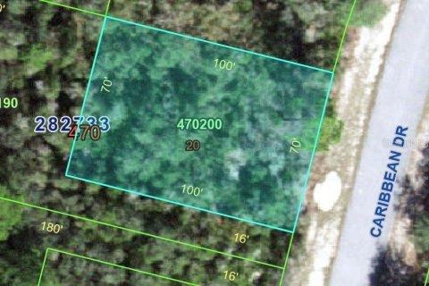 Land in Kissimmee, Florida № 2222179