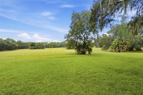 Villa ou maison à vendre à Altoona, Floride: 3 chambres, 124.86 m2 № 2398603 - photo 25