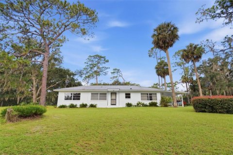 Villa ou maison à vendre à Altoona, Floride: 3 chambres, 124.86 m2 № 2398603 - photo 24