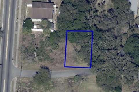 Terrain à Apopka, Floride № 2218481