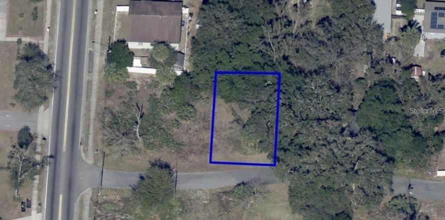 Terrain à Apopka, Floride № 2218481