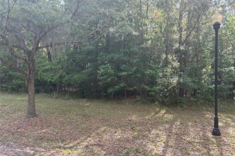 Land in Gainesville, Florida № 1167095 - photo 6