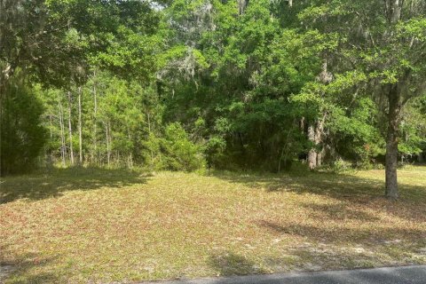 Land in Gainesville, Florida № 1167095 - photo 7