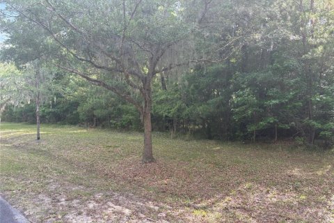 Land in Gainesville, Florida № 1167095 - photo 1