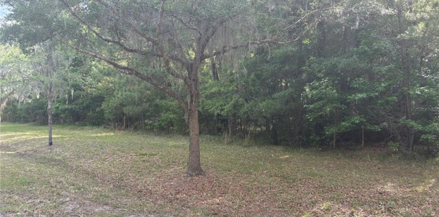 Land in Gainesville, Florida № 1167095