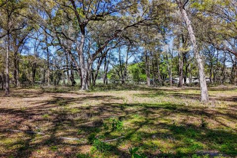 Terrain à vendre à Williston, Floride № 1551209 - photo 24