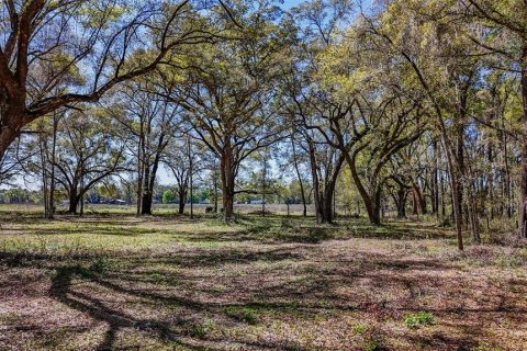 Terrain à vendre à Williston, Floride № 1551209 - photo 30
