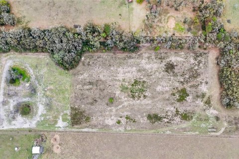 Terrain à vendre à Williston, Floride № 1551209 - photo 5