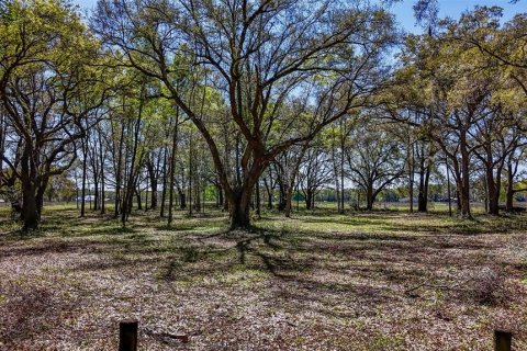 Terrain à vendre à Williston, Floride № 1551209 - photo 28