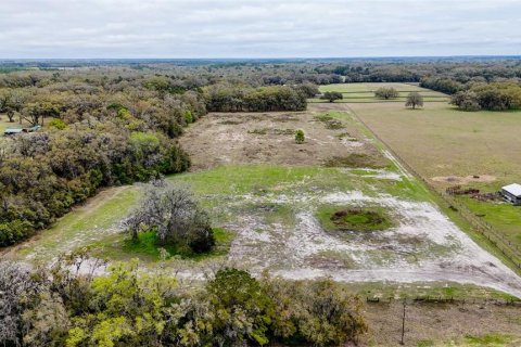 Terrain à vendre à Williston, Floride № 1551209 - photo 4