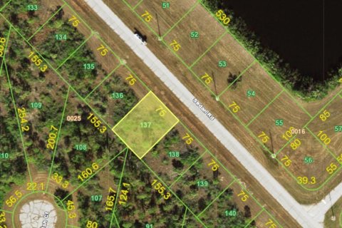 Land in Placida, Florida № 2163235 - photo 2