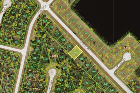 Land in Placida, Florida № 2163235 - photo 3
