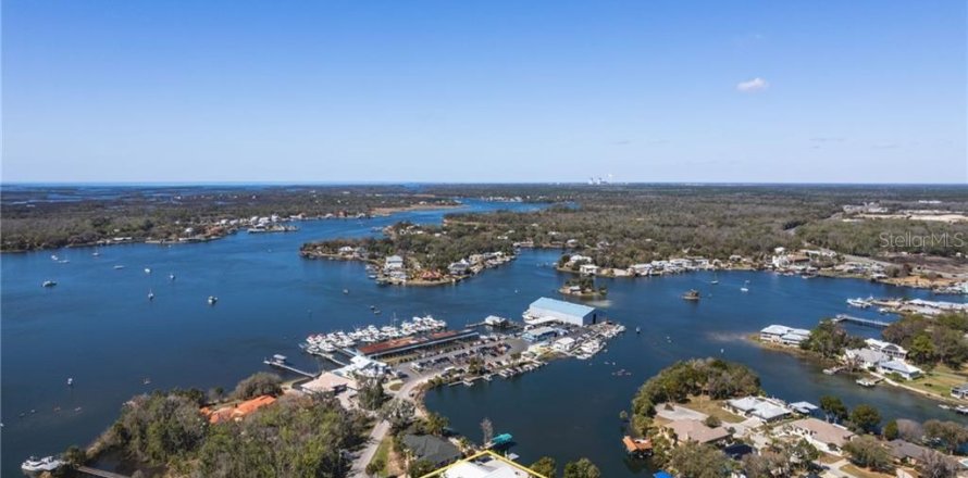 Casa en Crystal River, Florida 5 dormitorios, 344.57 m2 № 2140709