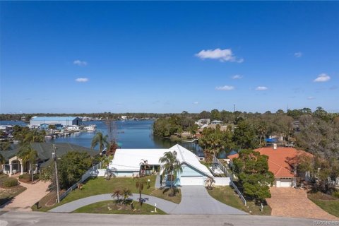 Casa en venta en Crystal River, Florida, 5 dormitorios, 344.57 m2 № 2140709 - foto 2