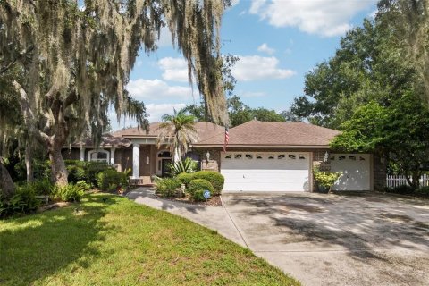 Villa ou maison à Plant City, Floride 4 chambres, 214.51 m2 № 2413452