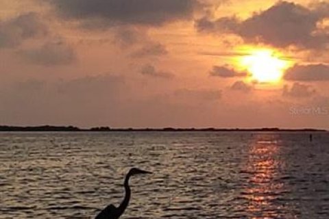 Casa en venta en Dunedin, Florida, 3 dormitorios, 182.27 m2 № 1634425 - foto 23