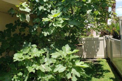 Casa en venta en Dunedin, Florida, 3 dormitorios, 182.27 m2 № 1634425 - foto 15