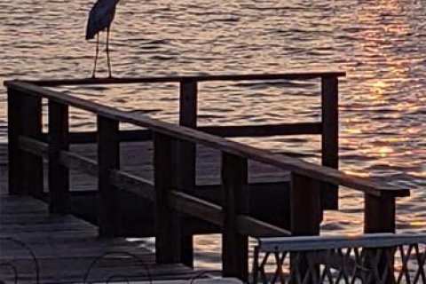 Casa en venta en Dunedin, Florida, 3 dormitorios, 182.27 m2 № 1634425 - foto 22