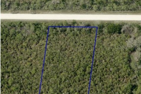 Land in Cocoa, Florida № 2161467 - photo 2