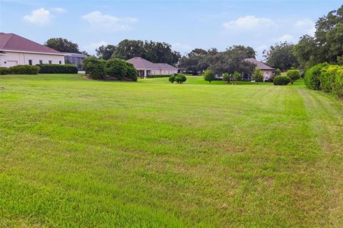 Land in Lady Lake, Florida № 2278040