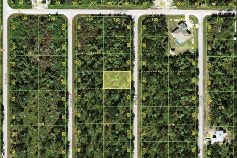 Land in Port Charlotte, Florida № 2165821