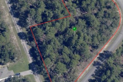 Land in Citrus Springs, Florida № 644991 - photo 2