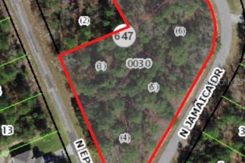 Land in Citrus Springs, Florida № 644991 - photo 1