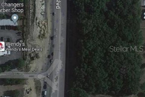 Commercial property in Wesley Chapel, Florida 2711.35 sq.m. № 1721350 - photo 2
