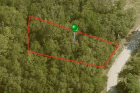 Land in Citrus Springs, Florida № 2163341